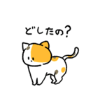 MIX猫 ミケ【ねこのきもち】（個別スタンプ：40）