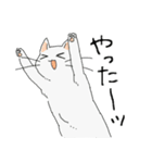 MIX 白猫【ねこのきもち】（個別スタンプ：9）