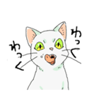 MIX 白猫【ねこのきもち】（個別スタンプ：15）