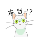 MIX 白猫【ねこのきもち】（個別スタンプ：18）