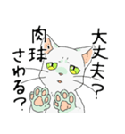 MIX 白猫【ねこのきもち】（個別スタンプ：27）