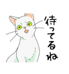 MIX 白猫【ねこのきもち】（個別スタンプ：30）