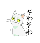 MIX 白猫【ねこのきもち】（個別スタンプ：35）