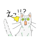 MIX 白猫【ねこのきもち】（個別スタンプ：37）