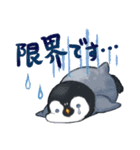 よわりペンギン（個別スタンプ：1）