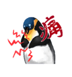 よわりペンギン（個別スタンプ：3）
