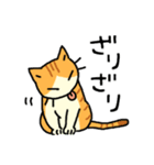 MIX猫 茶×白【ねこのきもち】（個別スタンプ：1）