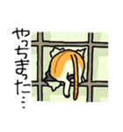 MIX猫 茶×白【ねこのきもち】（個別スタンプ：4）