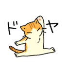 MIX猫 茶×白【ねこのきもち】（個別スタンプ：7）