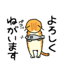 MIX猫 茶×白【ねこのきもち】（個別スタンプ：12）