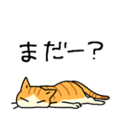 MIX猫 茶×白【ねこのきもち】（個別スタンプ：13）