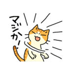 MIX猫 茶×白【ねこのきもち】（個別スタンプ：19）