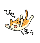 MIX猫 茶×白【ねこのきもち】（個別スタンプ：21）