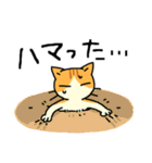 MIX猫 茶×白【ねこのきもち】（個別スタンプ：22）