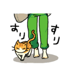 MIX猫 茶×白【ねこのきもち】（個別スタンプ：24）