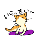MIX猫 茶×白【ねこのきもち】（個別スタンプ：34）