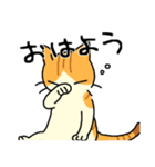 MIX猫 茶×白【ねこのきもち】（個別スタンプ：36）