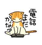 MIX猫 茶×白【ねこのきもち】（個別スタンプ：40）