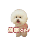 I Love Bichon Frise PART2（個別スタンプ：3）