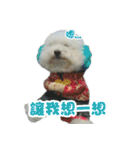 I Love Bichon Frise PART2（個別スタンプ：7）