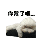 I Love Bichon Frise PART2（個別スタンプ：9）