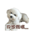 I Love Bichon Frise PART2（個別スタンプ：10）