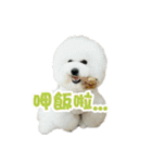 I Love Bichon Frise PART2（個別スタンプ：14）