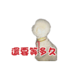 I Love Bichon Frise PART2（個別スタンプ：15）