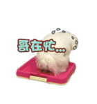 I Love Bichon Frise PART2（個別スタンプ：19）