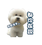 I Love Bichon Frise PART2（個別スタンプ：29）