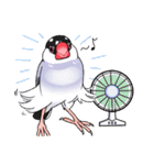 Lan-mua chu chu（個別スタンプ：6）