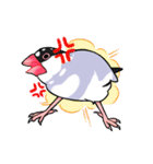 Lan-mua chu chu（個別スタンプ：31）
