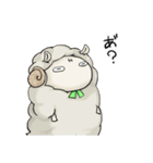 羊のジンくん＆ラムちゃんスタンプ（個別スタンプ：5）