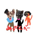 コロとコハルと愉快な仲間達（個別スタンプ：16）