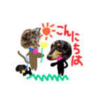 コロとコハルと愉快な仲間達（個別スタンプ：29）