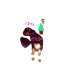 コロとコハルと愉快な仲間達（個別スタンプ：32）