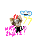 コロとコハルと愉快な仲間達（個別スタンプ：39）