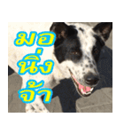 mhaaTHAI : Have you finished work？（個別スタンプ：3）