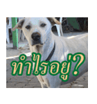 mhaaTHAI : Have you finished work？（個別スタンプ：4）