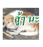 mhaaTHAI : Have you finished work？（個別スタンプ：5）