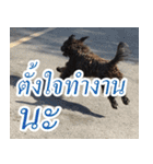mhaaTHAI : Have you finished work？（個別スタンプ：6）