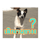 mhaaTHAI : Have you finished work？（個別スタンプ：7）
