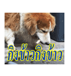 mhaaTHAI : Have you finished work？（個別スタンプ：8）
