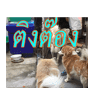 mhaaTHAI : Have you finished work？（個別スタンプ：9）