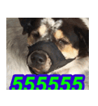 mhaaTHAI : Have you finished work？（個別スタンプ：10）