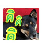 mhaaTHAI : Have you finished work？（個別スタンプ：11）