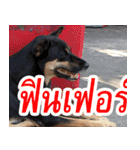 mhaaTHAI : Have you finished work？（個別スタンプ：12）