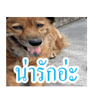 mhaaTHAI : Have you finished work？（個別スタンプ：16）