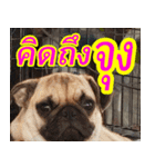 mhaaTHAI : Have you finished work？（個別スタンプ：17）