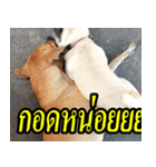 mhaaTHAI : Have you finished work？（個別スタンプ：18）
